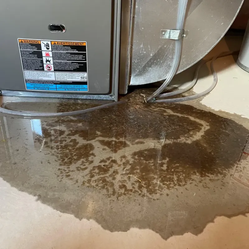 Appliance Leak Cleanup in Windsor, NC